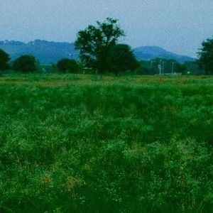 Meet your Posher, Sienna